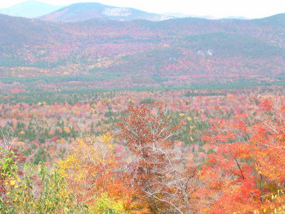 Fall in New Hampshire